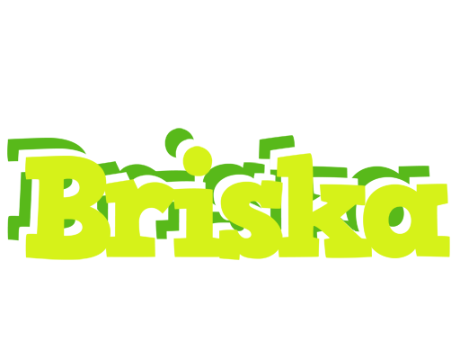 Briska citrus logo