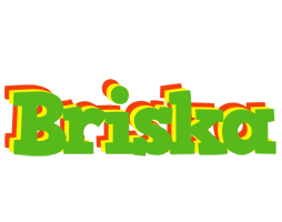 Briska crocodile logo