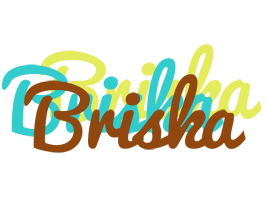 Briska cupcake logo