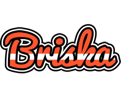 Briska denmark logo