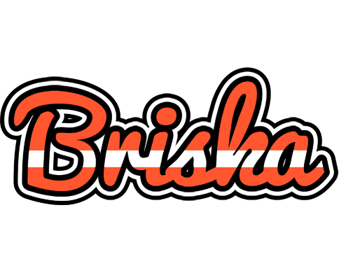 Briska denmark logo