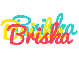 Briska disco logo