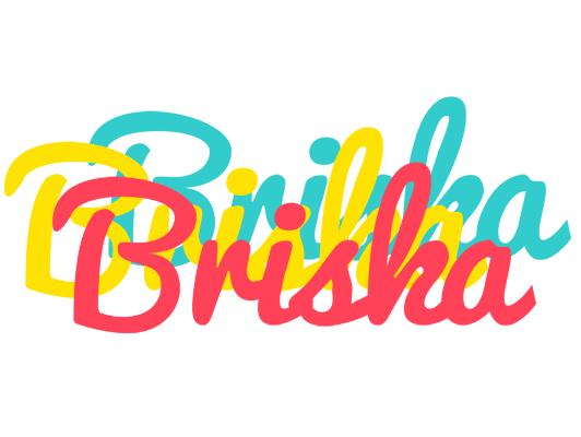 Briska disco logo