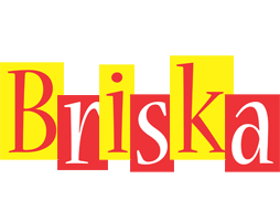 Briska errors logo