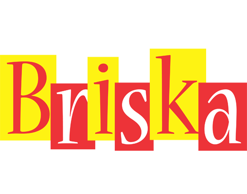 Briska errors logo