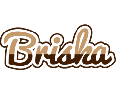 Briska exclusive logo