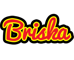 Briska fireman logo