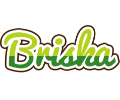 Briska golfing logo