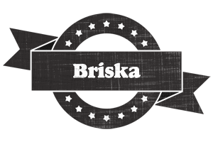 Briska grunge logo