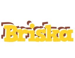 Briska hotcup logo