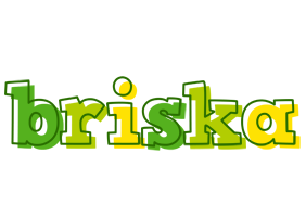 Briska juice logo