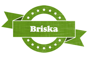 Briska natural logo