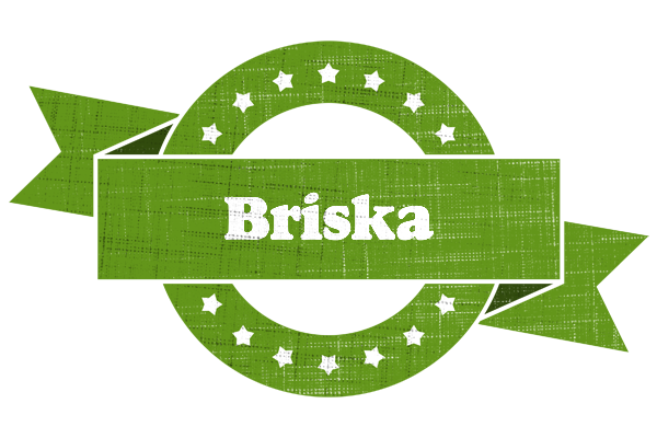 Briska natural logo
