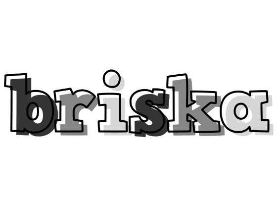 Briska night logo