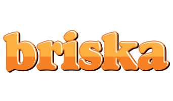 Briska orange logo