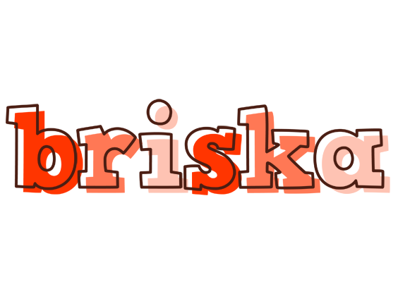 Briska paint logo