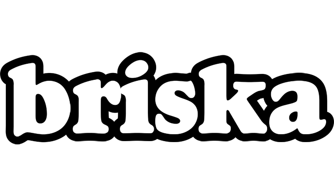 Briska panda logo