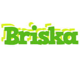 Briska picnic logo