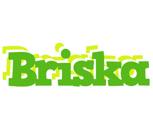 Briska picnic logo