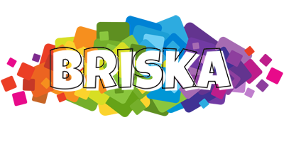 Briska pixels logo