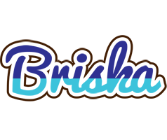 Briska raining logo