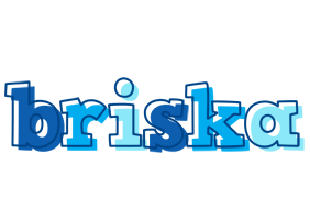 Briska sailor logo