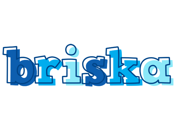 Briska sailor logo