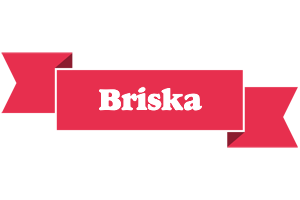 Briska sale logo