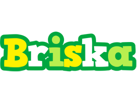 Briska soccer logo
