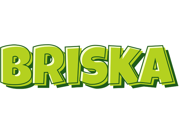 Briska summer logo