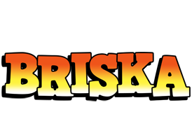 Briska sunset logo