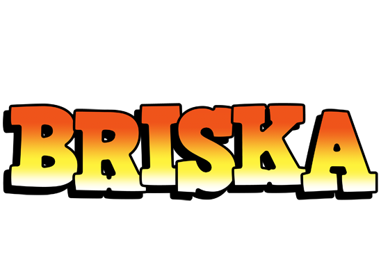Briska sunset logo
