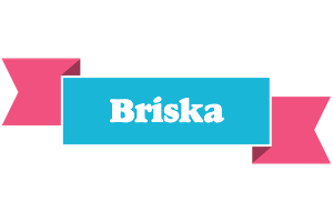 Briska today logo