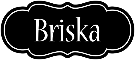 Briska welcome logo