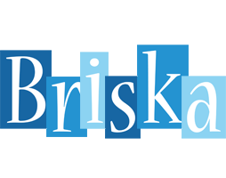 Briska winter logo