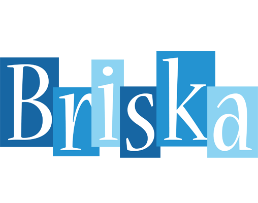 Briska winter logo