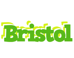 Bristol picnic logo