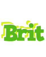 Brit picnic logo
