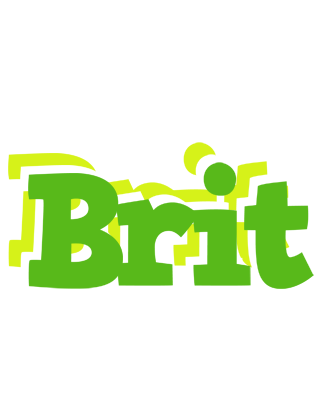 Brit picnic logo