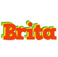 Brita bbq logo