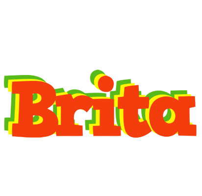 Brita bbq logo