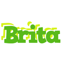 Brita picnic logo