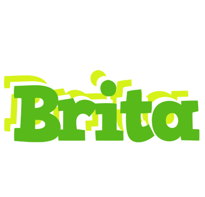 Brita picnic logo