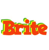 Brite bbq logo