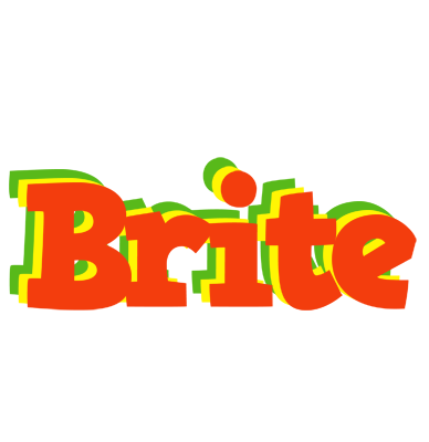 Brite bbq logo