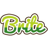 Brite golfing logo