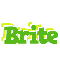 Brite picnic logo