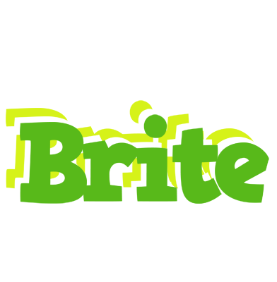 Brite picnic logo