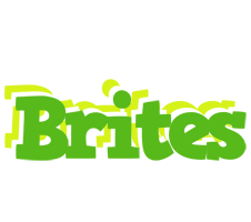 Brites picnic logo