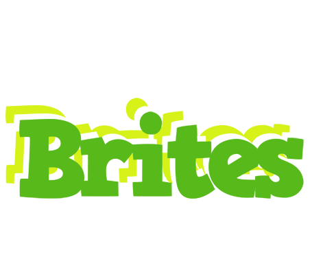 Brites picnic logo